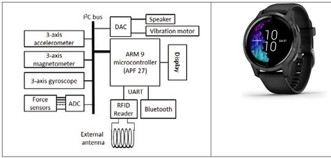The internal structure of the smart watch